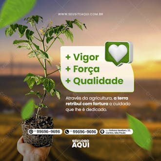 Feed quadrado agronegocio agropecuaria socail media