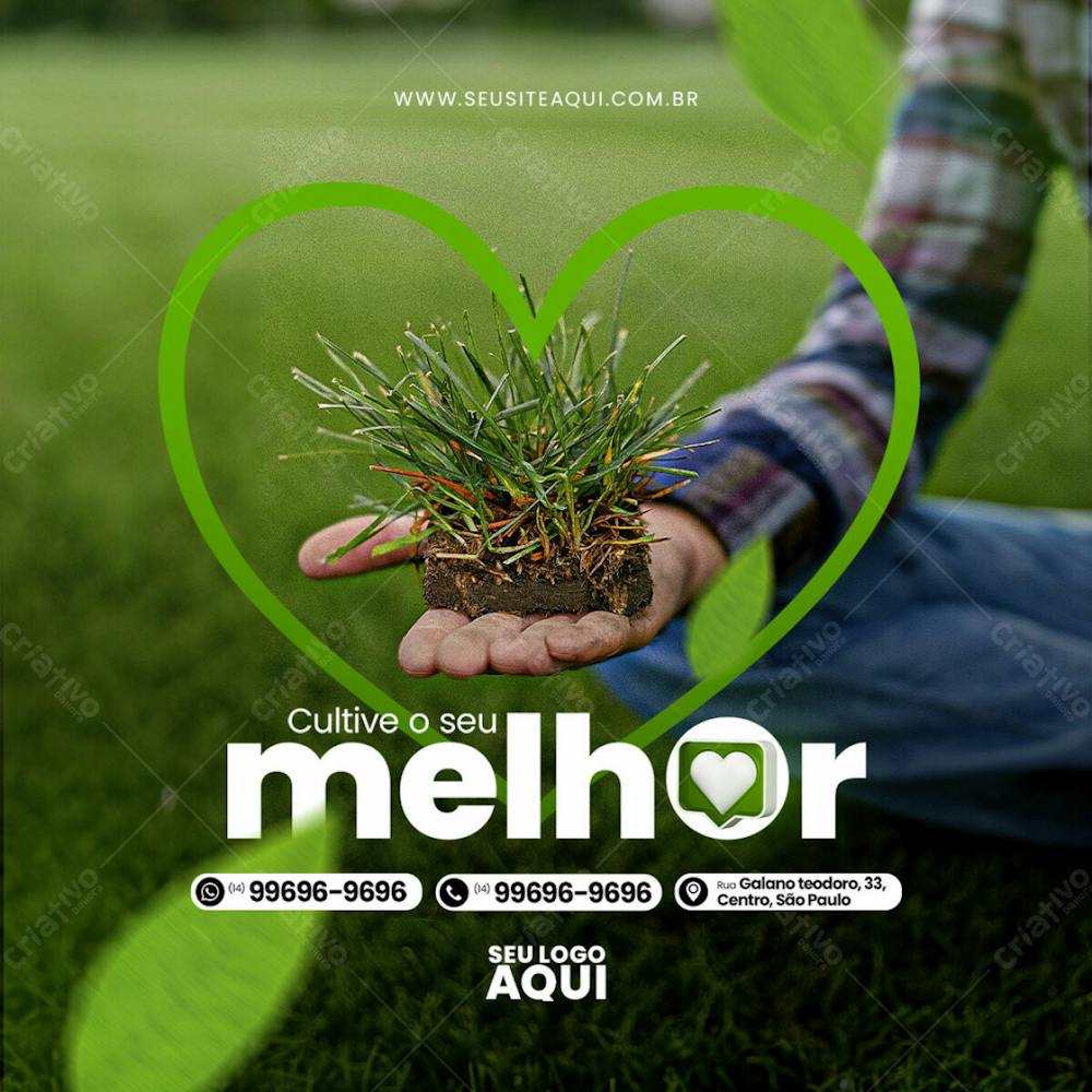 Feed Quadrado Agronegocio Agropecuaria Socail Media