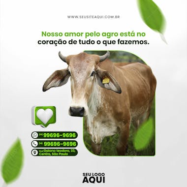 Feed quadrado agronegocio agropecuaria socail media