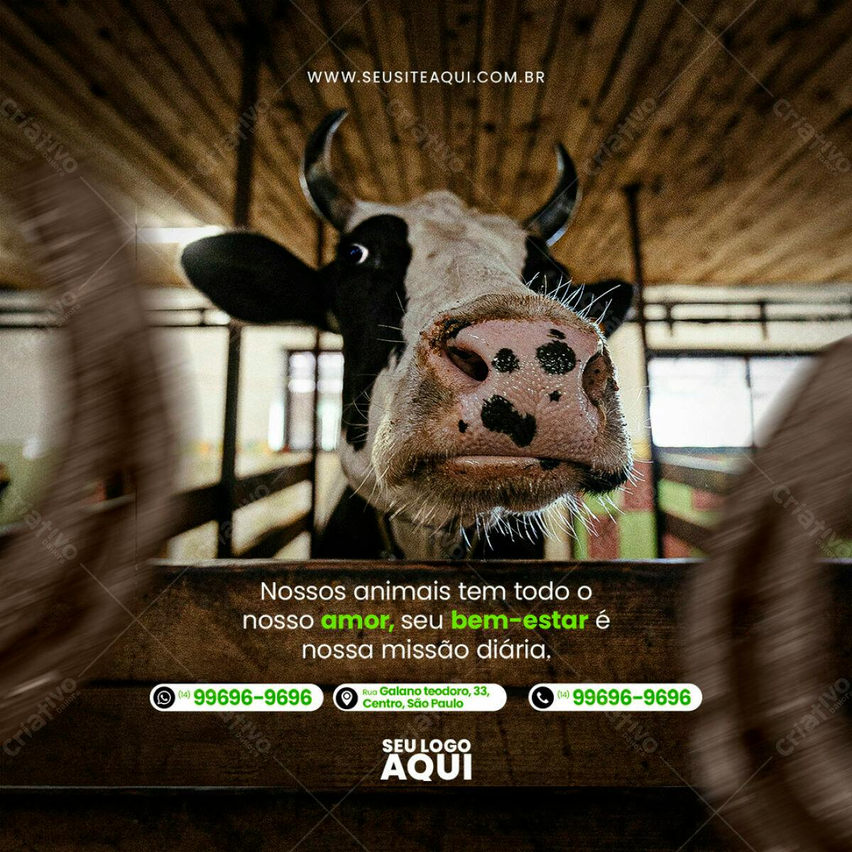 Post para Bem-Estar Animal PSD Editável
