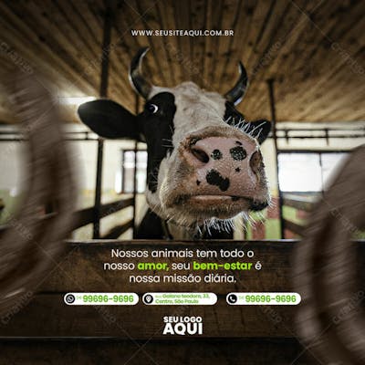 Feed Quadrado Agronegocio Agropecuaria Socail Media