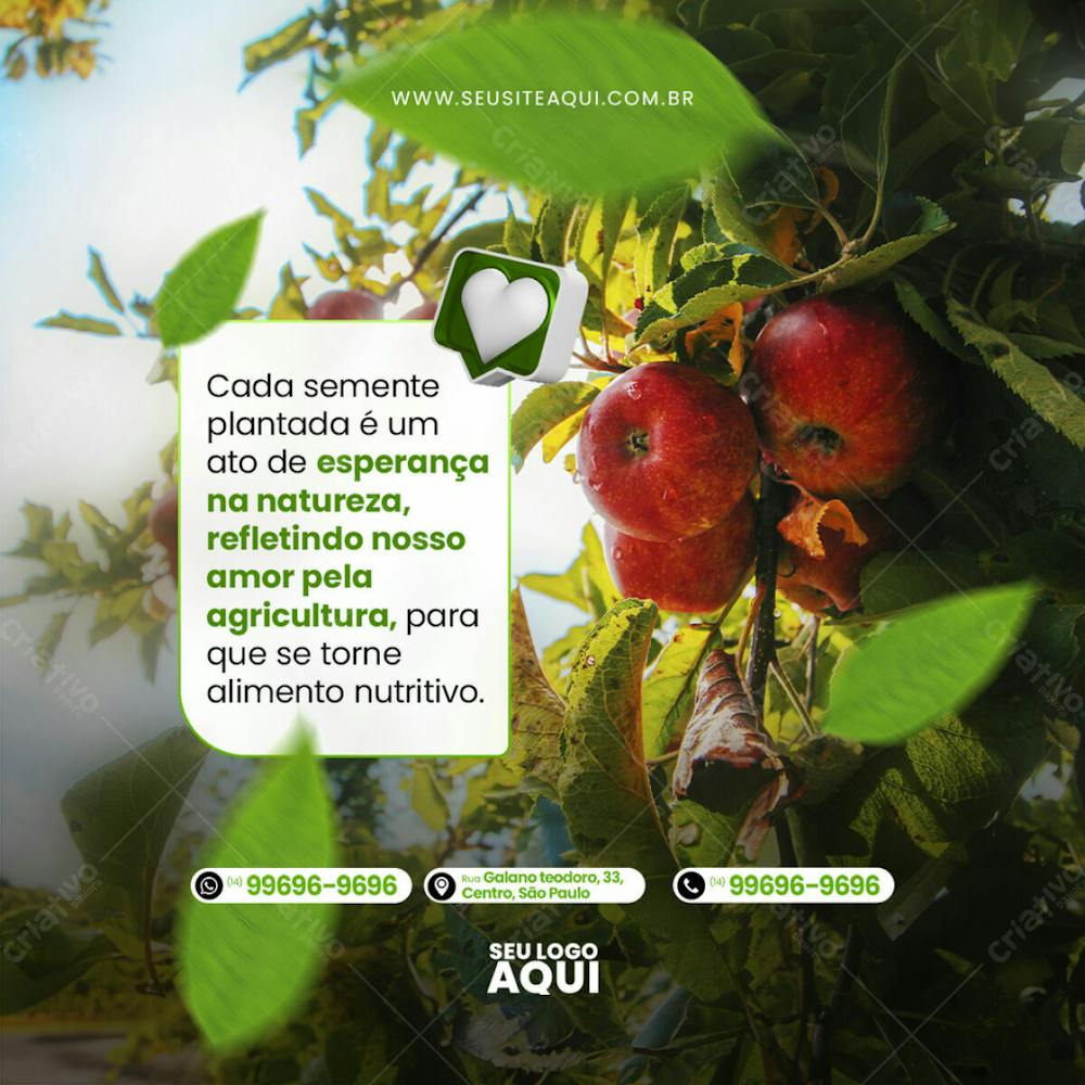 Feed Quadrado Agronegocio Agropecuaria Socail Media