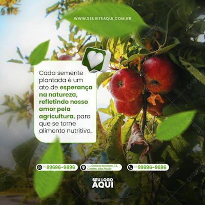Feed Quadrado Agronegocio Agropecuaria Socail Media