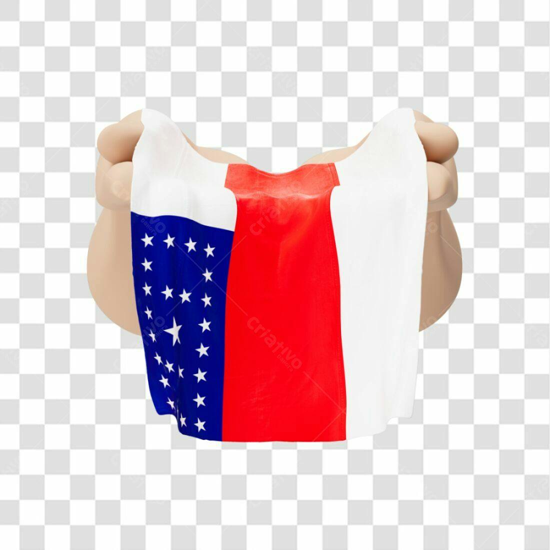 Bandeira Pará PNG com fundo transparente