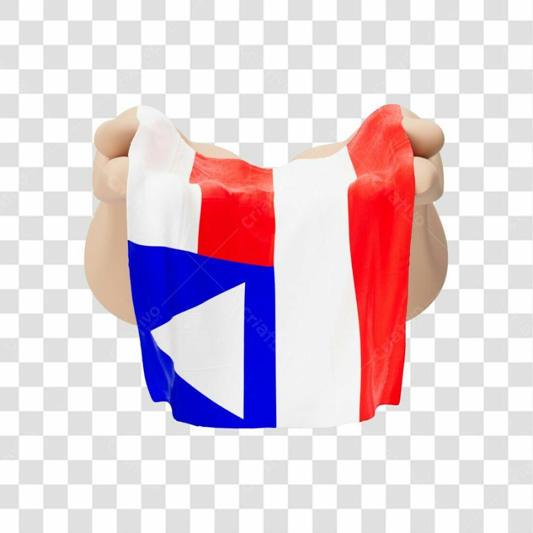 Bandeira náutica PNG com fundo transparente