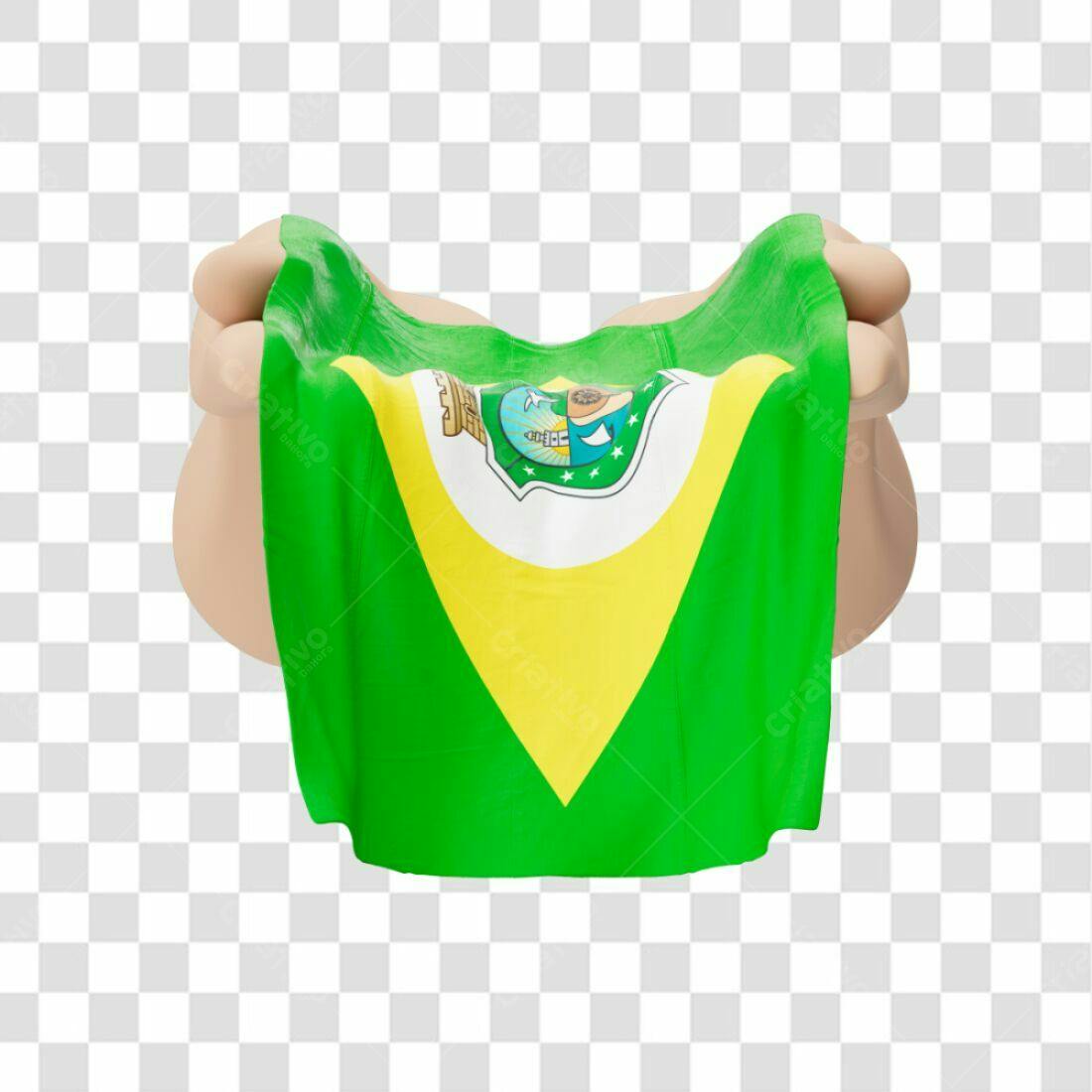 Bandeira Mato Grosso PNG com fundo transparente