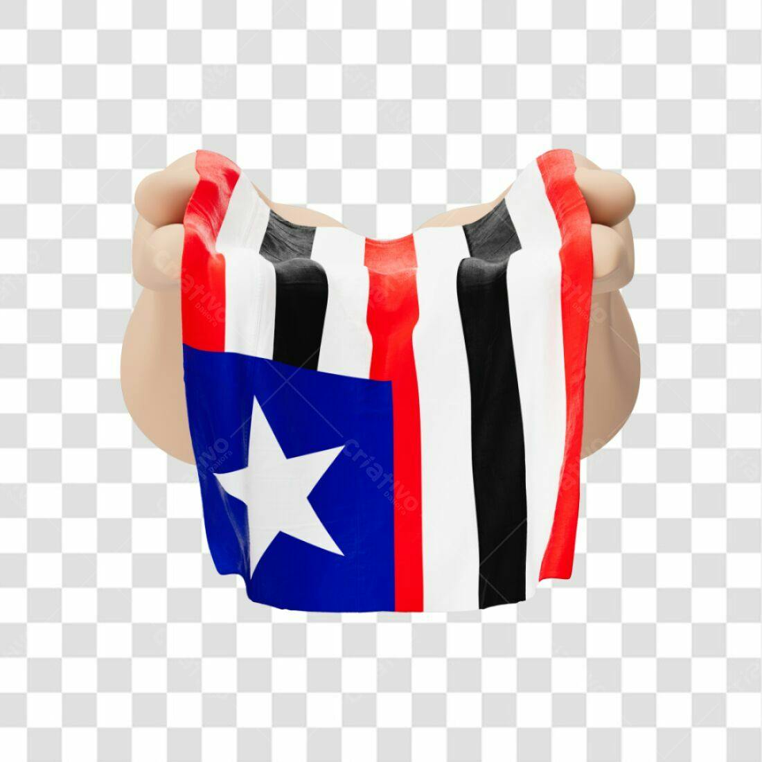 Bandeira do Pará PNG com fundo transparente
