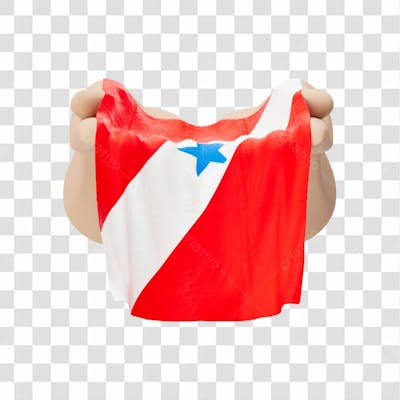 Mãos Com Bandeira Do Estado De Pará Simbolizando Solidariedade Com Fundo Transparente Copiar