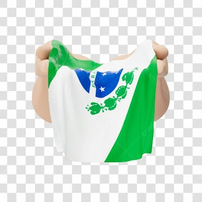 Mãos Com Bandeira Do Estado De Paraná Simbolizando Solidariedade Com Fundo Transparente Copiar