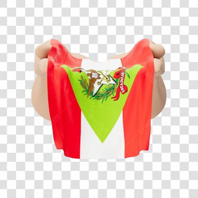 Mãos Com Bandeira Do Estado De Santa Catarina Simbolizando Solidariedade Com Fundo Transparente Copiar