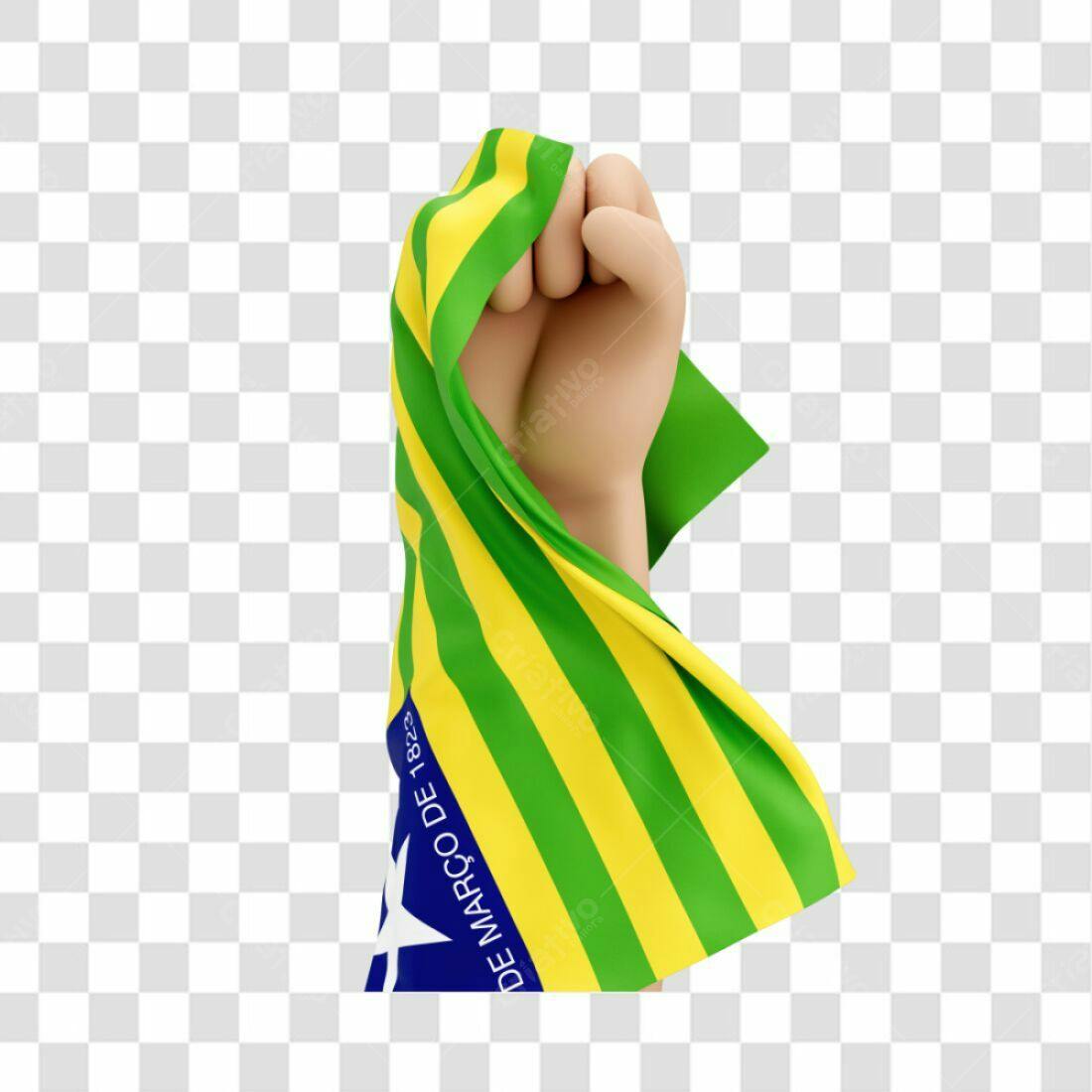 Icone Revolução Constitucionalista PNG com fundo transparente