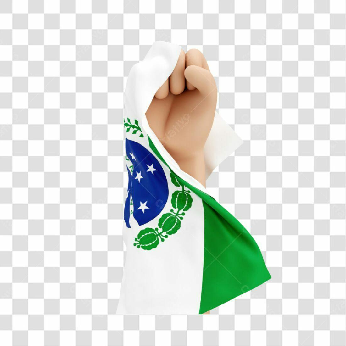 Bandeira PNG com fundo transparente - Punho erguido