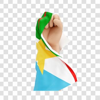 Mãos com bandeira do estado de roraima simbolizando força com fundo transparente