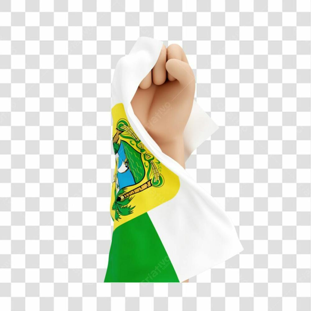 Mãos Com Bandeira Do Estado Do Rio Grande Do Norte Simbolizando Força Com Fundo Transparente