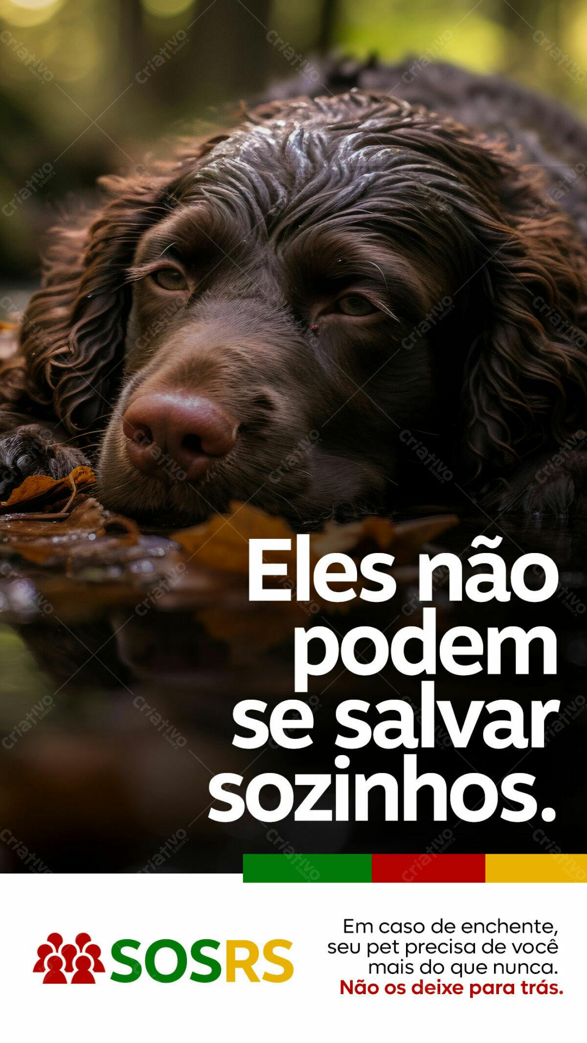 Cartaz de Apoio a Animais em Enchente PSD Editável