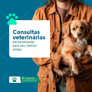 02 social media clínica veterinária