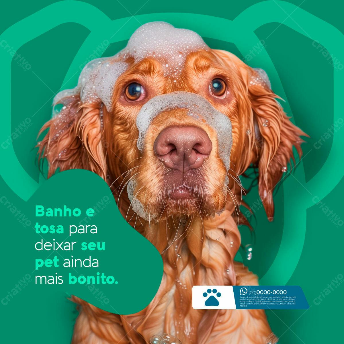 Post para Pet Shop PSD Editável