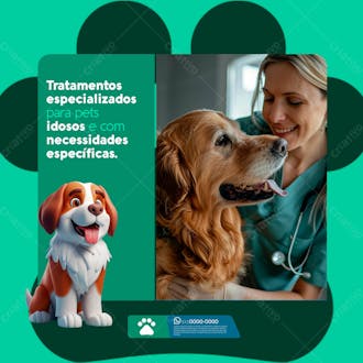 09 social media clínica veterinária