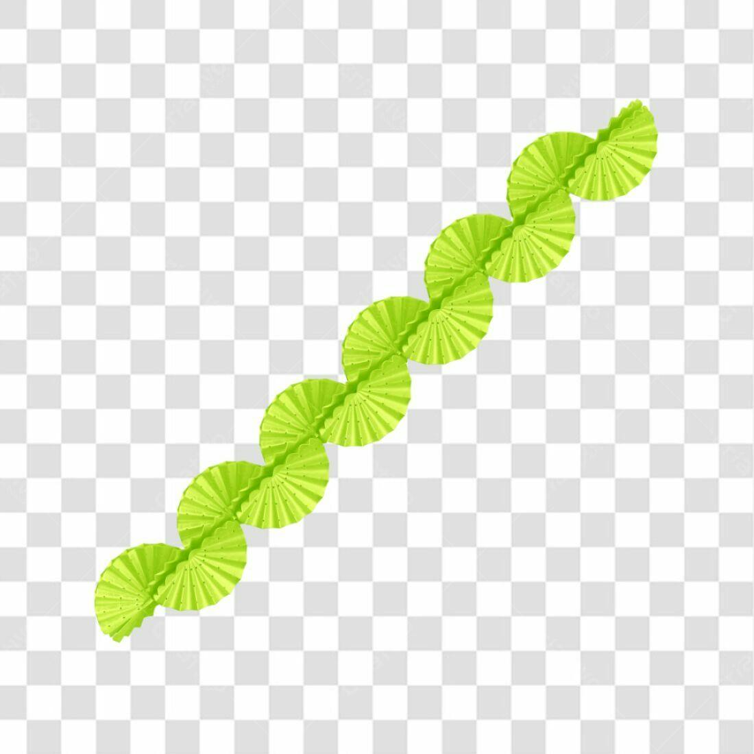 Decoração Festa Verde Lima PNG com fundo transparente