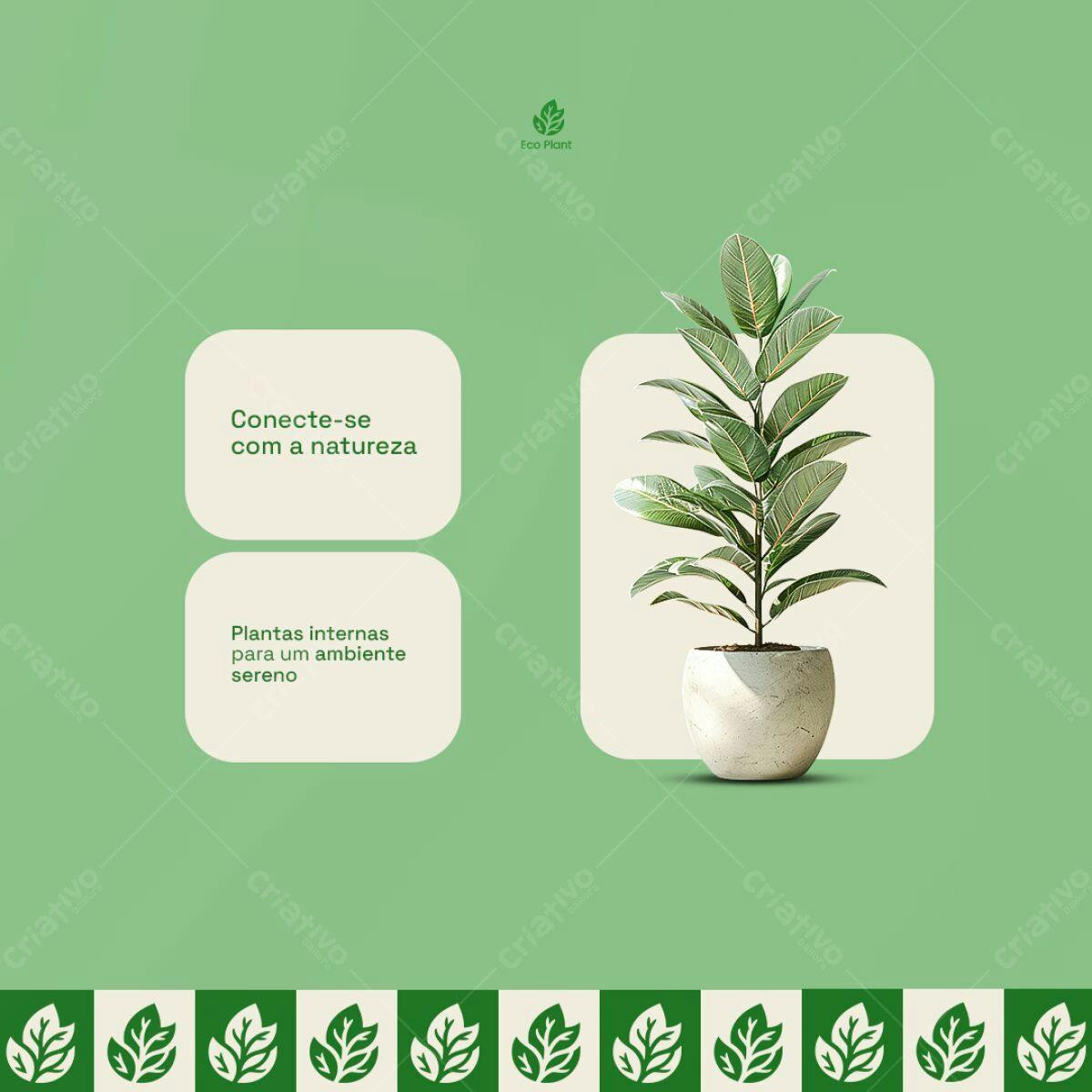 Post para Instagram Plantas PSD Editável