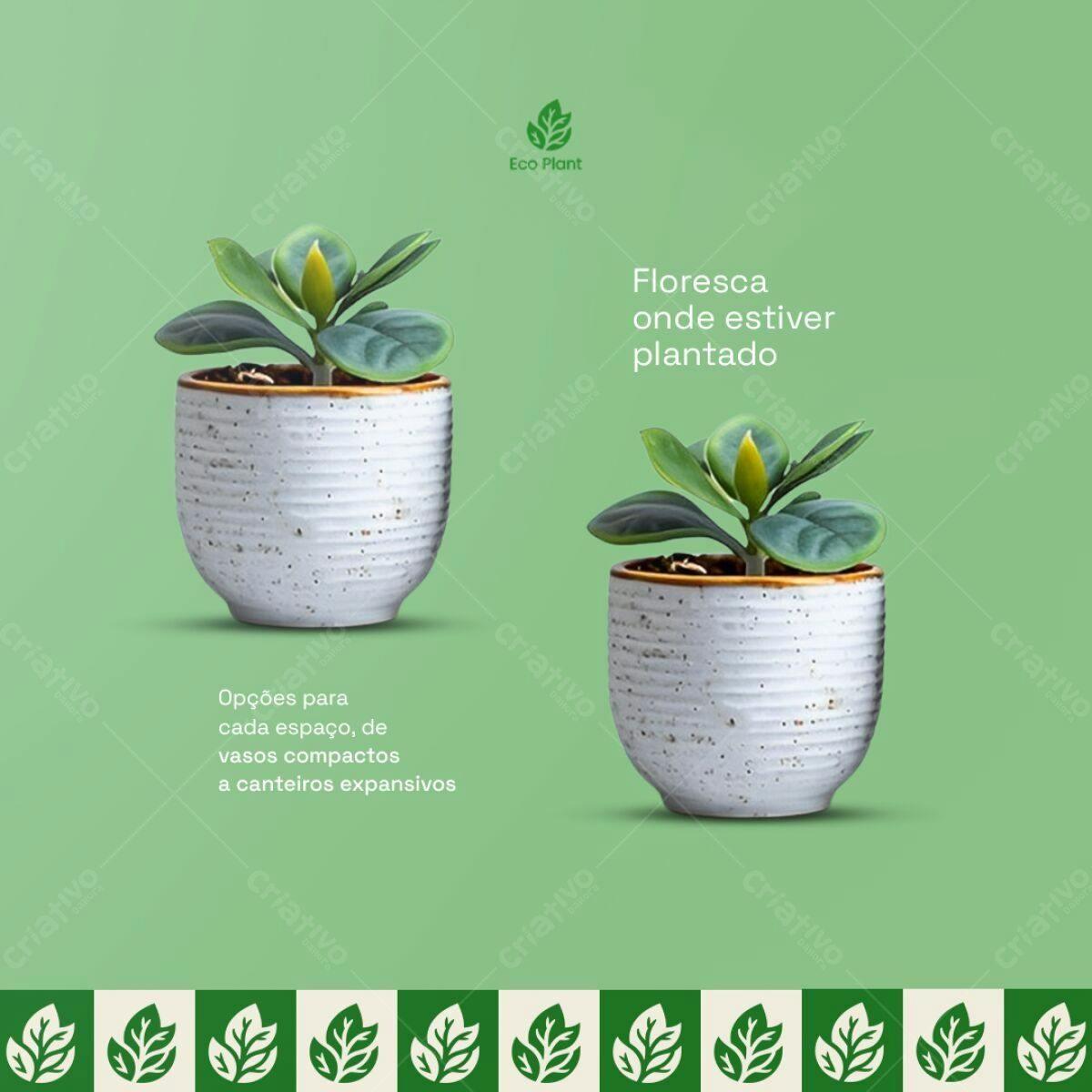 Mockup de Vaso com Planta para Instagram PSD Editável