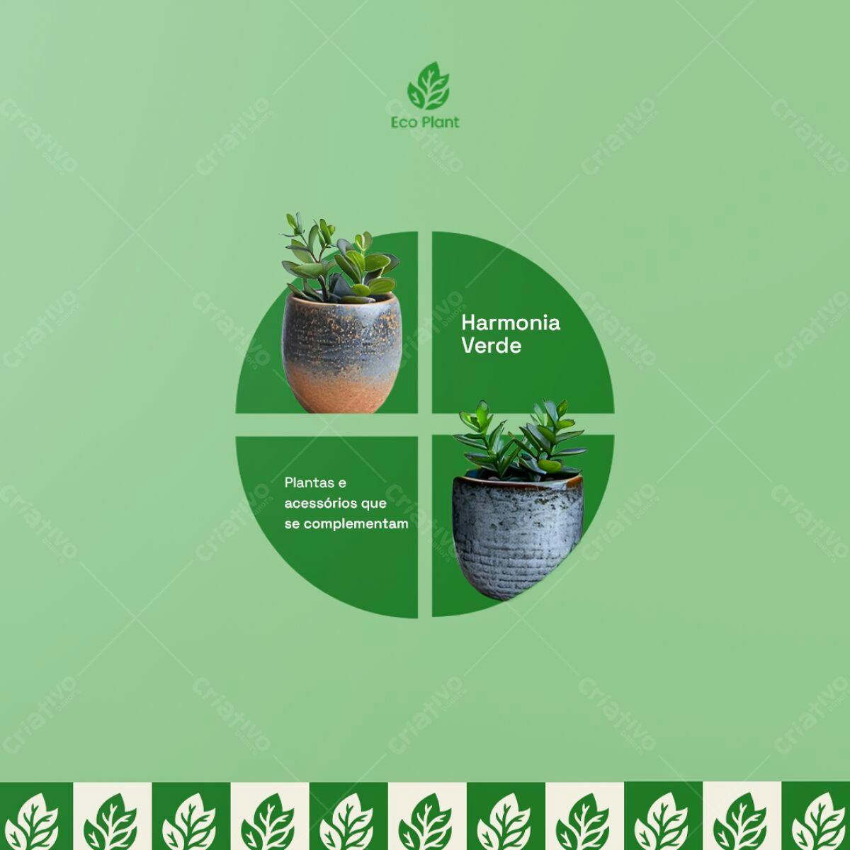 Post para Instagram Plantas PSD Editável