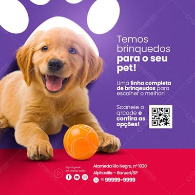 Petshop brinquedos para pet