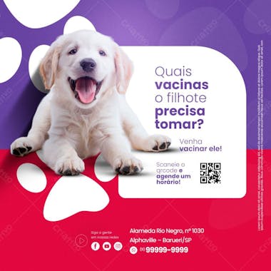 Petshop dicas sobre vacina