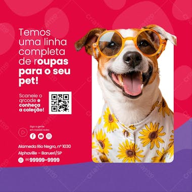 Petshop roupas para pet