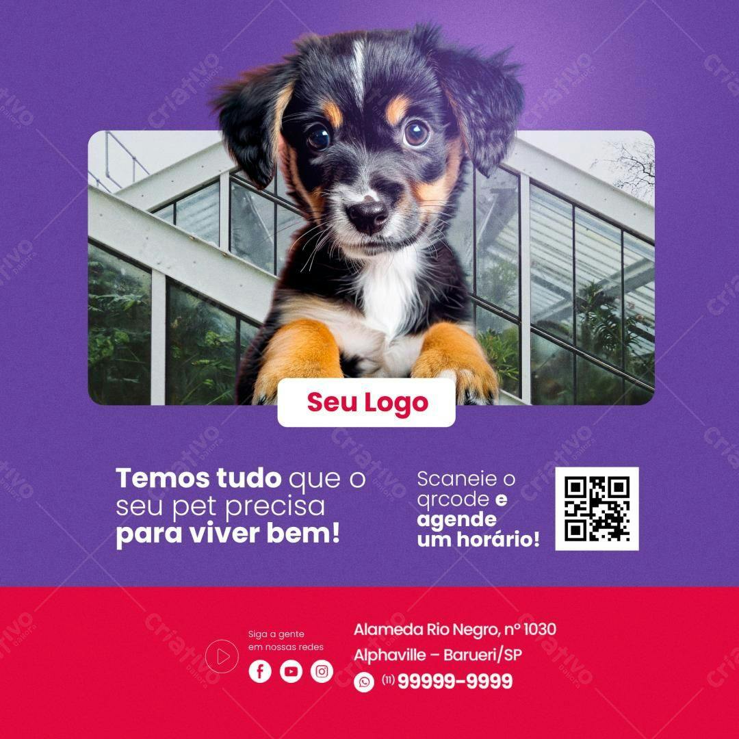 Post para Pet Shop PSD Editável