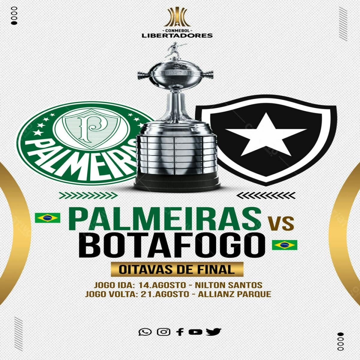 Flyer Palmeiras vs Botafogo PSD Editável