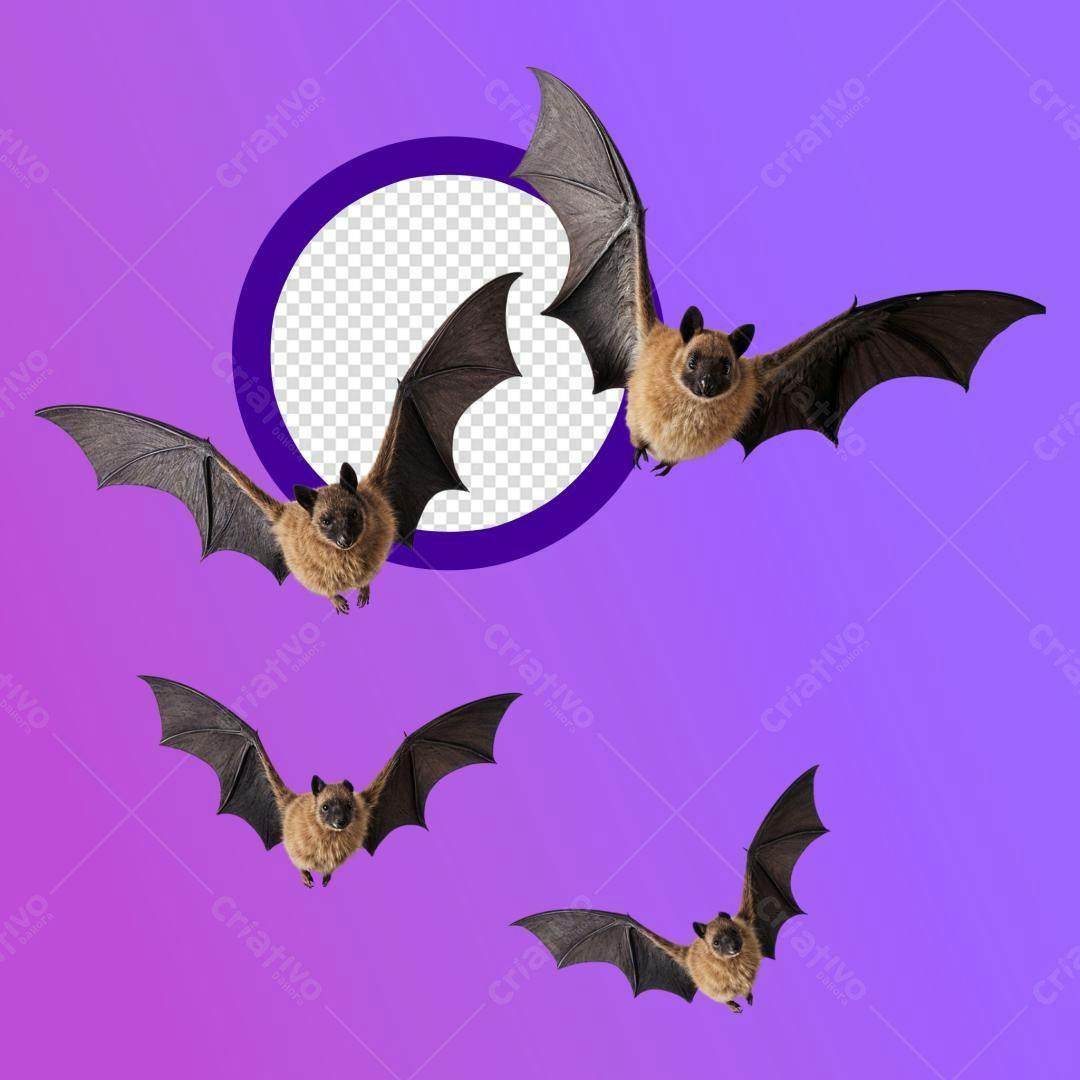 Icones Morcegos Halloween PNG com fundo transparente