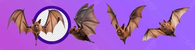 Morcego Halloween