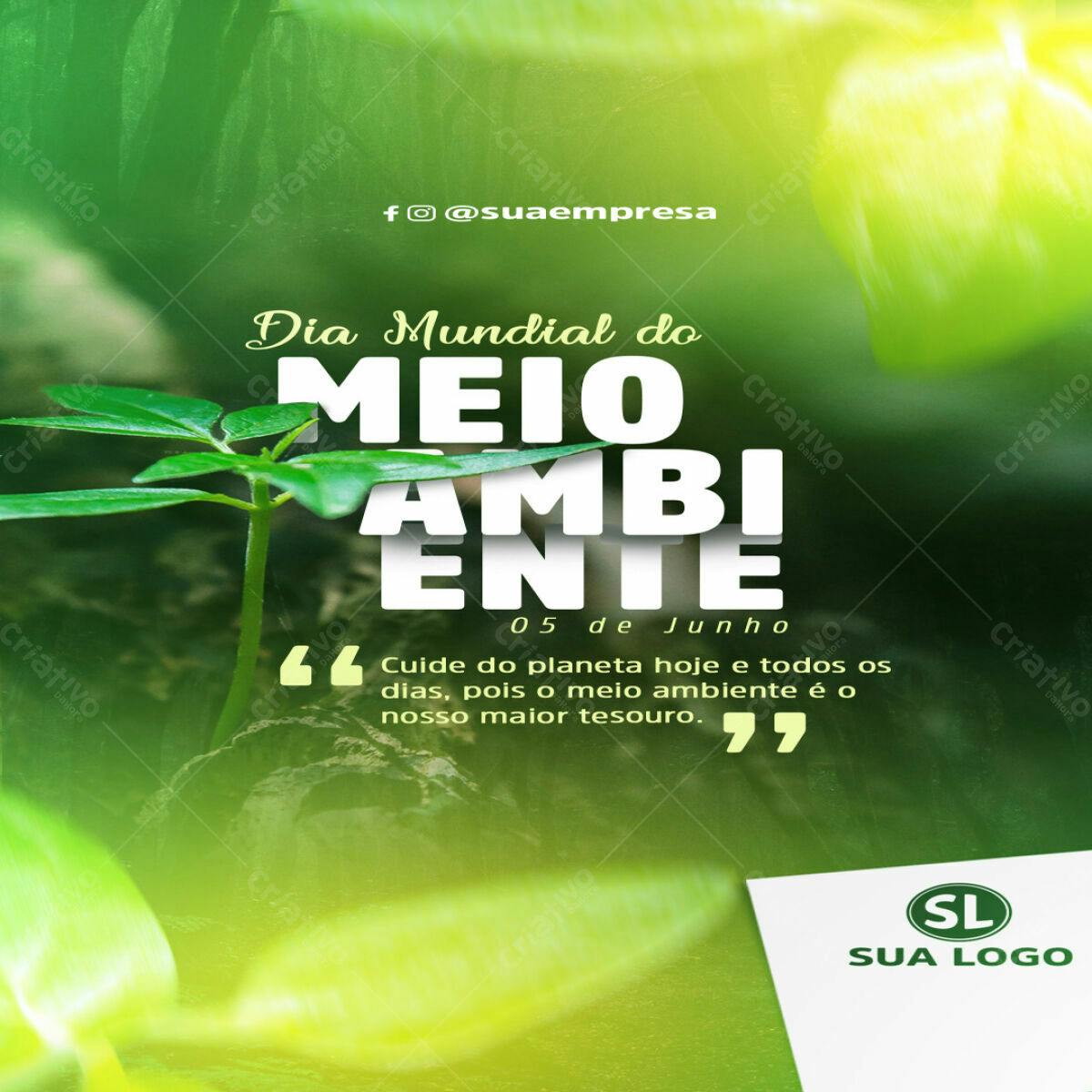 Flyer Dia Mundial do Meio Ambiente PSD Editável