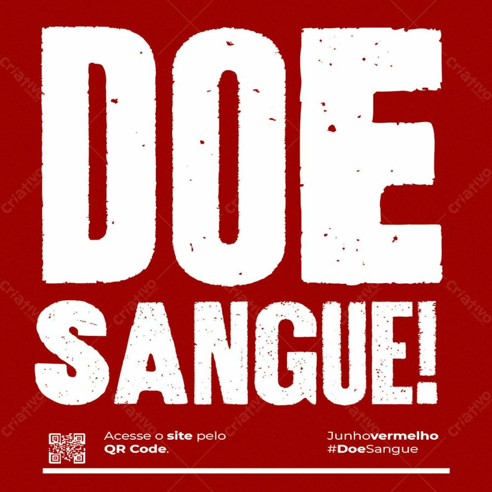 Doe Sangue Feed 4