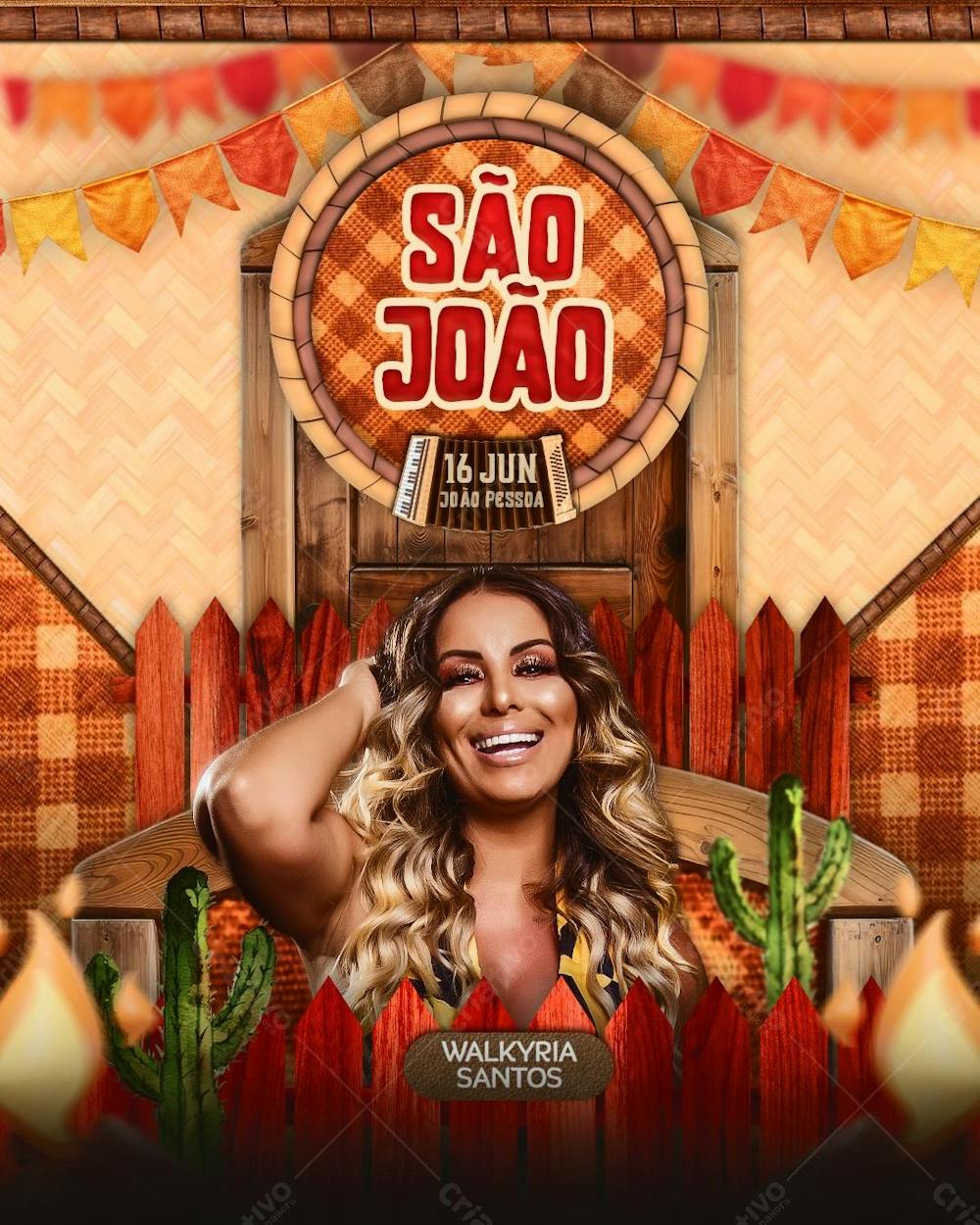 Flyer Arraiá De São João Feed