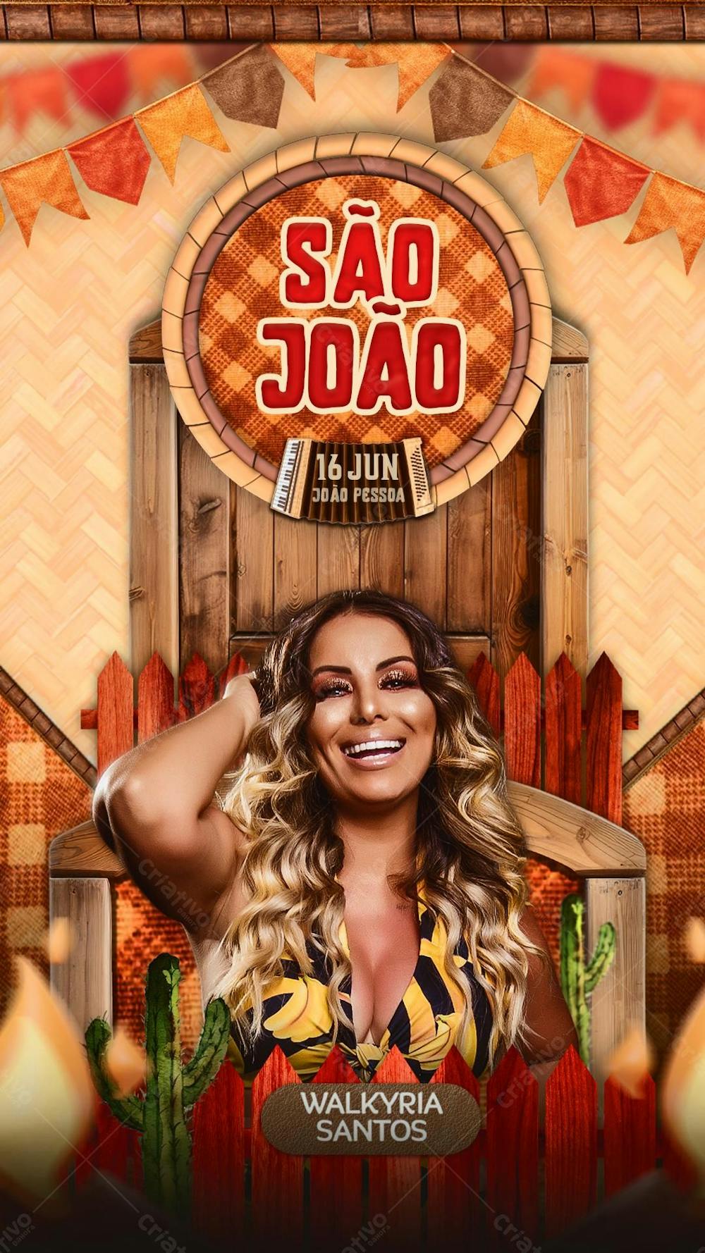 Flyer Arraiá De São João festa junina Story