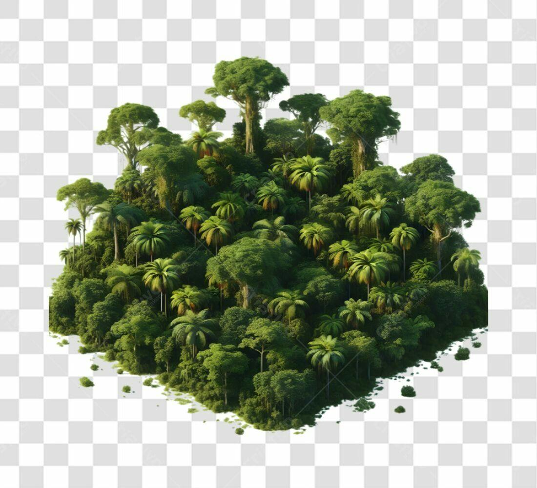 Icone Floresta Tropical PNG com fundo transparente
