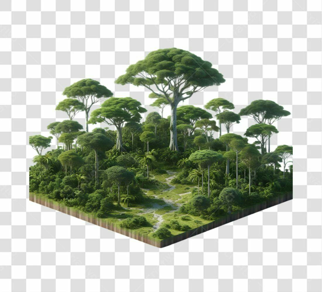 Icone Floresta Tropical PNG com fundo transparente