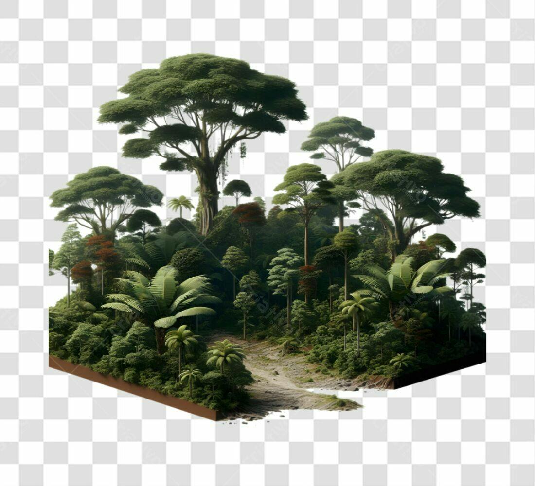 Cenário PNG com fundo transparente Floresta Tropical Isométrica