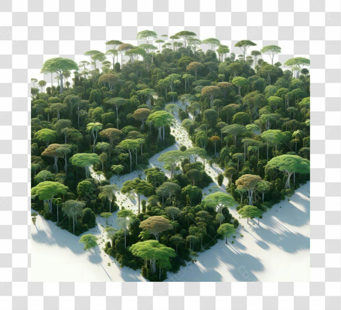 Icone Floresta Tropical PNG com fundo transparente