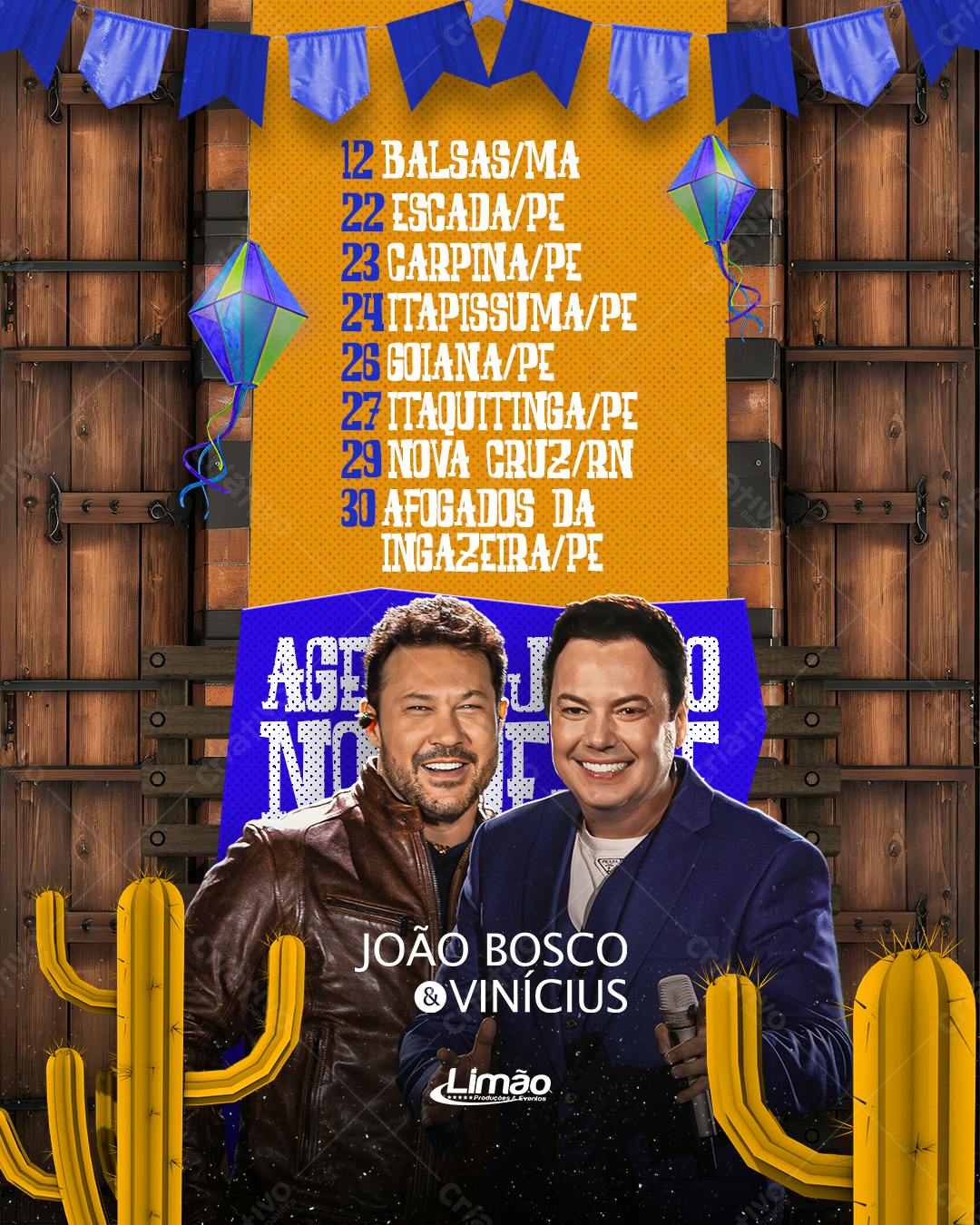 Flyer João Bosco & Vinícius Festa Junina PSD Editável