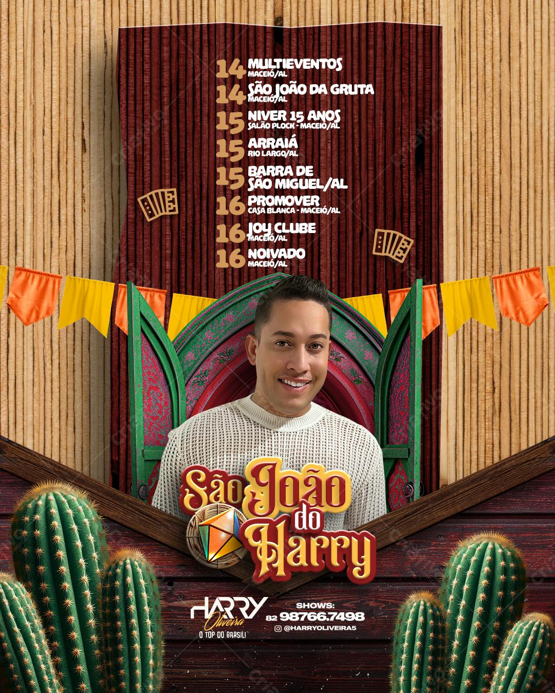 Flyer São João do Harry PSD Editável