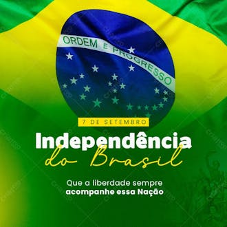 Independencia do brasil liberadade feed