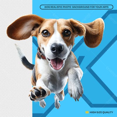 Cachorro Beagle Saltando Para Social Media Petshop