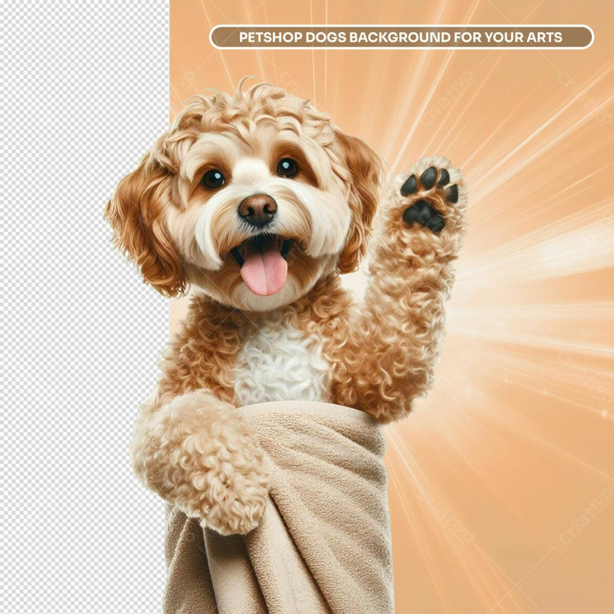 Background Cachorro Pet Shop PSD Editável