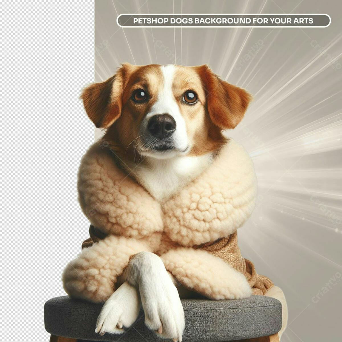 Background Petshop Cachorro com Casaco PSD Editável