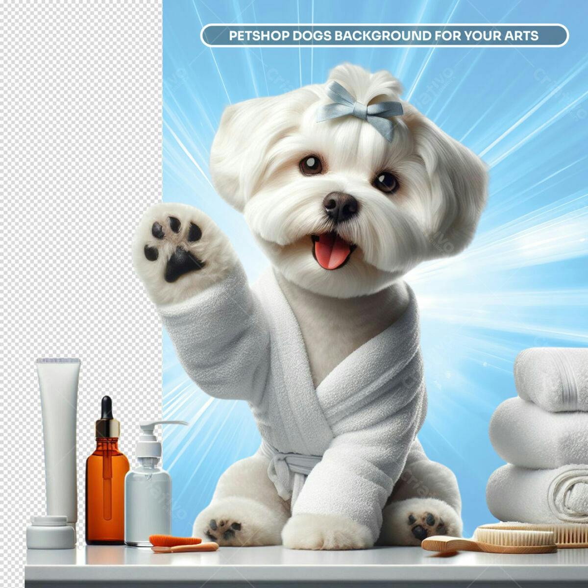Background Petshop Cão Maltês PSD Editável