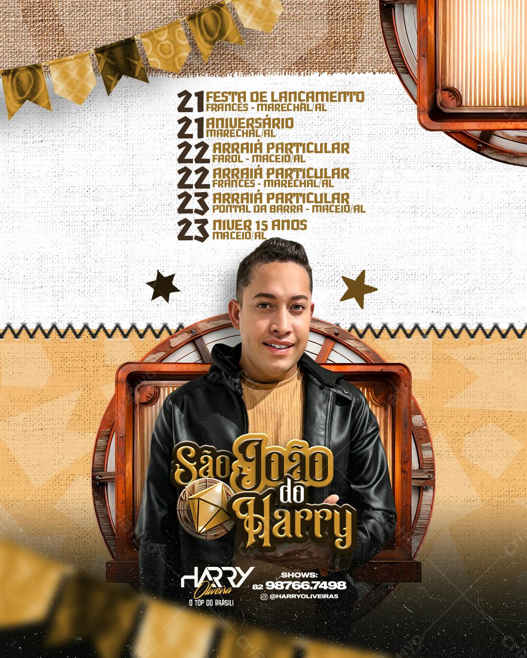 Flyer Festa de São João do Harry PSD Editável