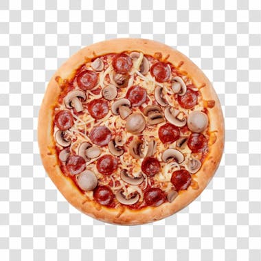 Pizza vários sabores png transparente